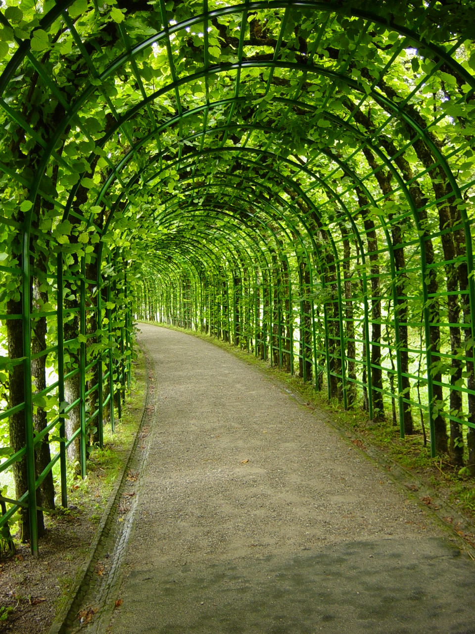 12 tunnel.JPG